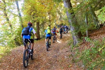 Alquiler guiado de bicicletas eléctricas.