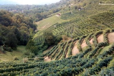 Experiencia Prosecco. Cata de vinos. Día completo Experiencia Prosecco. Cata de vinos. Día completo