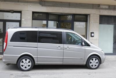 Traslado privado, servicio de chofer, desde el aeropuerto de Trev