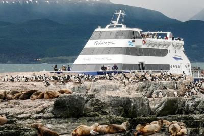 Beagle Channel Navigation con trekking en las Islas Bridges