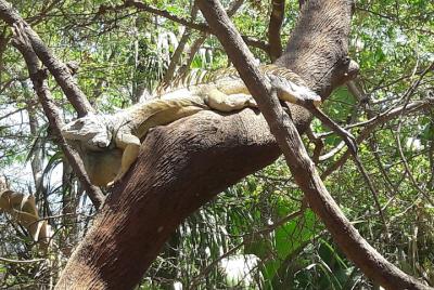 Huatulco National Park Walking and Snorkeling Tour