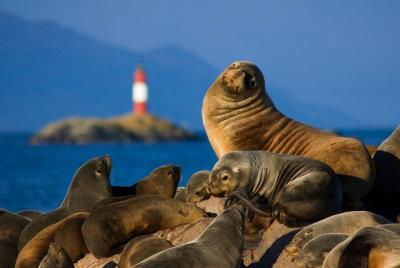 Navegacion Canal Beagle Isla de Lobos 