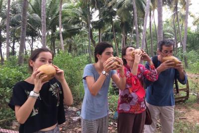 Granjas y paseos - Mañana / tarde Paseo por el pueblo con demostr