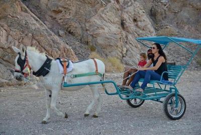Paseo en carro de burros en las montañas de Eilat Paseo en carro de burros en las montañas de Eilat