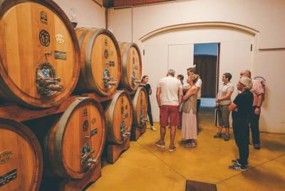 Tour de medio día por el vino Valpolicella y Amarone desde el lag Tour de medio día por el vino Valpolicella y Amarone desde el lag