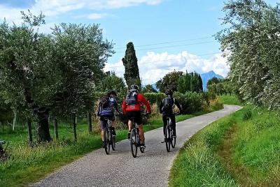 Tour en bicicleta por el interior de Bardolino y cata de vinos