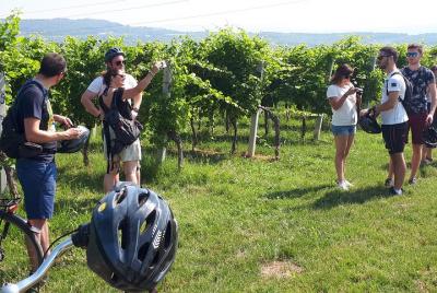 Valpolicella Bike Tour desde Verona Valpolicella Bike Tour desde Verona