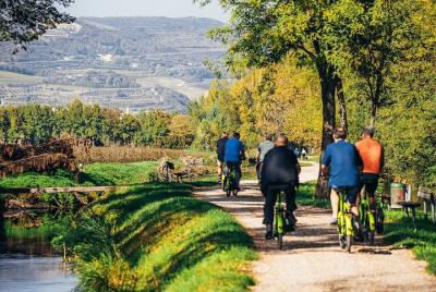 Tour en bicicleta por la campiña de Verona y cata de vinos Amaron Tour en bicicleta por la campiña de Verona y cata de vinos Amaron