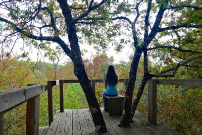 Excursión Quinta do Vale do Lobo, Viseu Excursión Quinta do Vale do Lobo, Viseu