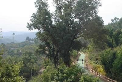 Descenso de la "Ecopista del Dão" de Bicicleta 47km + Transfer Sa Descenso de la