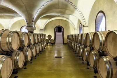 Degustación de vinos Prosecco y Amarone en Verona en Tenute Salva