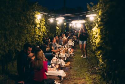 Picnic among the Vines in Valpolicella, Soave, Lake Garda