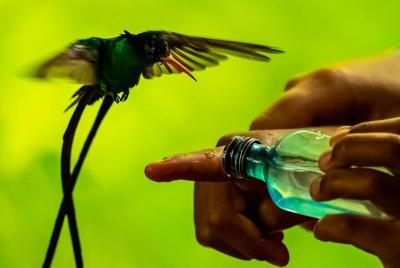 Excursión privada al santuario de Rockland Brid