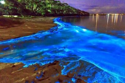 Tour privado de aguas relucientes