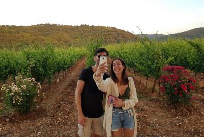 Cantine Merinum: una cata sensorial de vino cerca de Vieste