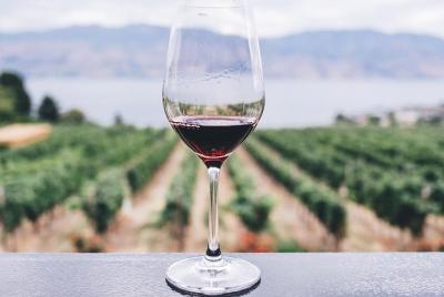 Excursión privada por la costa a Villena y a una bodega desde Ali Excursión privada por la costa a Villena y a una bodega desde Ali