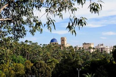 Experimente el tour privado de la ciudad de Elche, Patrimonio de  Experimente el tour privado de la ciudad de Elche, Patrimonio de