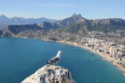 Alicante Like a Local: Tour privado personalizado Alicante Like a Local: Tour privado personalizado