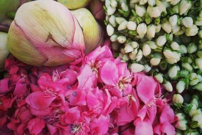 Tour de peregrinación sagrada - Saturno en Thirunallar desde Tiru