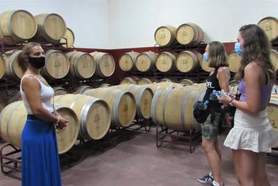 Portimão y Lagoa: tour del vino del Algarve en una furgoneta VW T