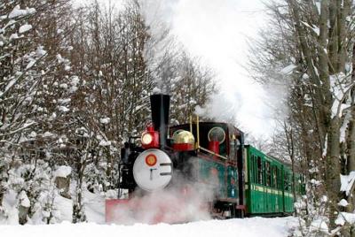 Recorrido de medio día al Parque Nacional Tierra del Fuego con re