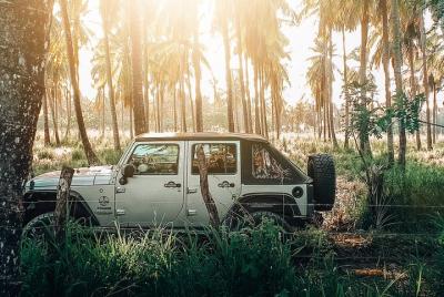 Experiencia privada en jeep: YS Falls & Pelican Bar (todo incluid