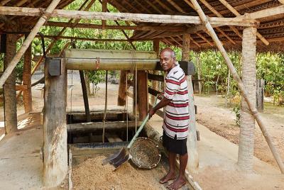 Explora minas de gemas en Rathnapura desde Panadura