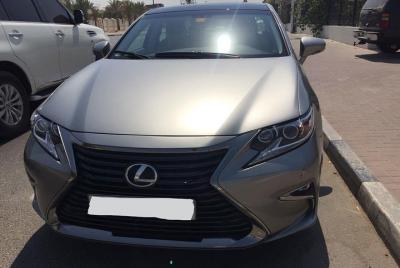 Llegada del traslado privado del aeropuerto de Dubai DXB a la ciu