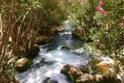 Excursión de un día a las Cascadas de Algar y Guadalest desde Cal Excursión de un día a las Cascadas de Algar y Guadalest desde Cal