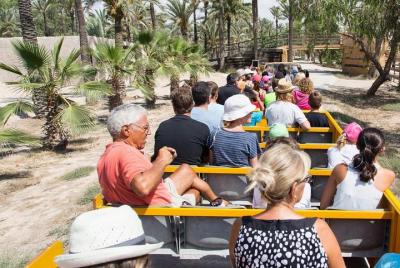 Río Safari Elche con transporte desde Benidorm Río Safari Elche con transporte desde Benidorm