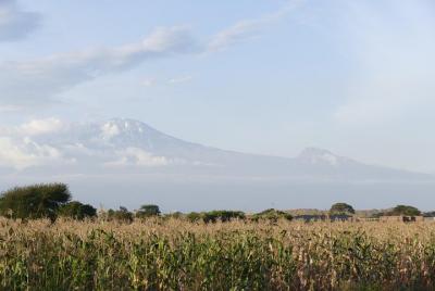 Tour por la ciudad de Moshi Tour por la ciudad de Moshi