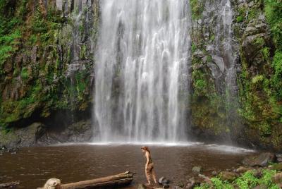 Cascadas Materuni - Excursión de un día Cascadas Materuni - Excursión de un día