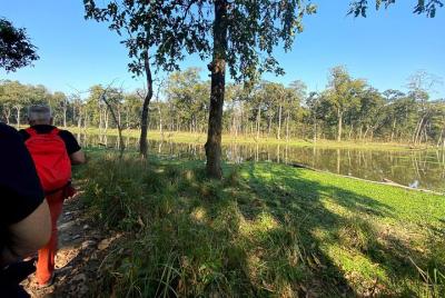 2 horas de caminata por la naturaleza en el Parque Nacional Chitw