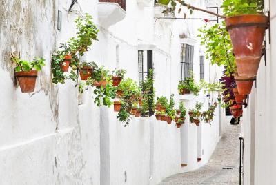 Escapada de un día desde Jerez: los pueblos blancos de Andalucía.