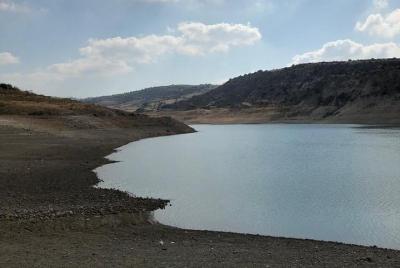Pesca de presa de día completo en Paphos Pesca de presa de día completo en Paphos
