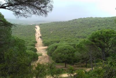 Senderismo Costa de la Luz Zahora Barbate