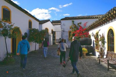 Descubre Jerez en Jerez