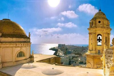 Excursión por la costa de Cádiz: recorrido a pie y panorámico par