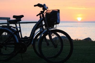 Alquiler de Bicicletas