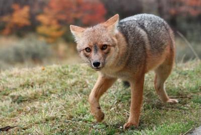 Recorrido al Parque Nacional Tierra del Fuego desde Ushuaia