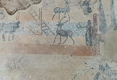 Tour por la Cuenca Romana: Segóbriga, Noheda y Minas de Lapis Spe Tour por la Cuenca Romana: Segóbriga, Noheda y Minas de Lapis Spe