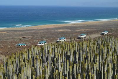 Safari en jeep por Fuerteventura Safari en jeep por Fuerteventura