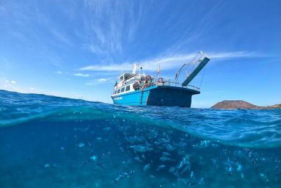 Visita la Isla de Lobos con actividad de Snorkel desde Corralejo,