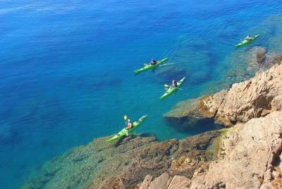 Excursión guiada de 3 horas kayak + snorkel