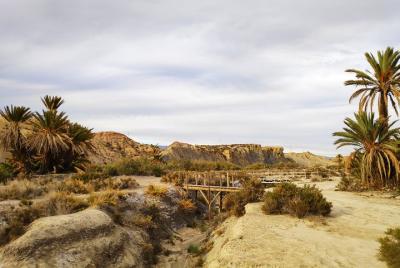Excursión de un día al desierto de Tabernas desde Granada