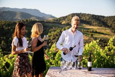 Desde Barcelona: visita a la bodega y degustación en el Priorat
