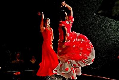 Espectáculo Flamenco con Consumición