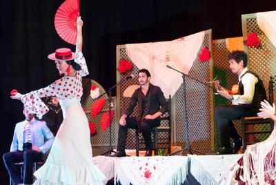 Flamenco en el Centro de Granada