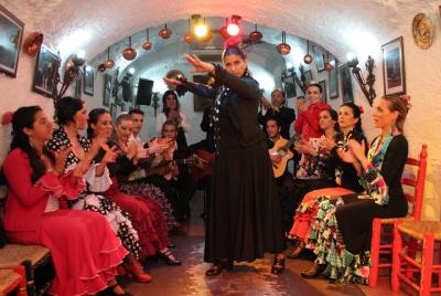 Espectáculo flamenco en el Sacromonte y recorrido a pie del Albai