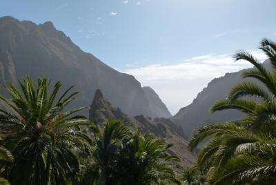 Recorrido de un día completo por lo más destacado de Tenerife Recorrido de un día completo por lo más destacado de Tenerife
